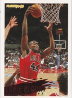 BASKETBALL NBA - OFFICIAL   CHROMO  1994/95 - CORIE BLOUNT   - CHICAGO BULLS - 1990-1999