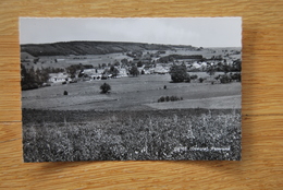 1661/ OSTER - ODEIGNE Panorama - Manhay