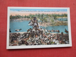 Famous Trained Wild Ducks Lost Lake Near Miami   - Florida    Ref 3332 - Key West & The Keys