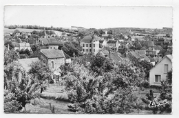 COURSON LES CARRIERES - N° 8278 - PANORAMA - Photo Ed. E. MIGNON - FORMAT CPA NON VOYAGEE - Courson-les-Carrières