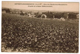 Gevrey Chambertin, Clos Des Rochettes Chambertin (pk59544) - Gevrey Chambertin