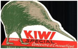 En K/Buvard Encaustique "Kiwi" (Format 12 X 18) (N= 1) - E