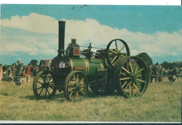 BEDFORD   ( Angleterre )    -  Wantage Traction Engine -  Built 1898 - Bedford