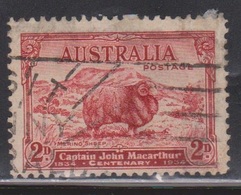 AUSTRALIA Scott # 147 Used - Merino Sheep - Oblitérés