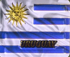 Uruguay Flag 3D Fridge Magnet, From Uruguay - Magnets