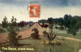 AUSTRALIE - Carte Postale - The Drive , King's Park - L 29857 - Autres & Non Classés