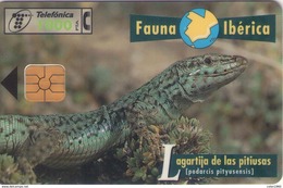 TELECARTE ESPAÑA ESPAGNE FAUNA LAGARTO PITUSO - Autres & Non Classés