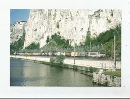 AU DEFILE DE DONZERE (DROME) 320 UN TRAIN DE CONTENEURS LONGE LE RHONE AVEC LA BB 22365 EN TETE AVRIL 1997 - Donzere