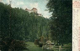 Autriche Oesterreich Carinthie St Veit  SANKT VEIT AN DER GLAN Schloss Mannsberg Postée En  1915 Chromo Litho - St. Veit An Der Glan