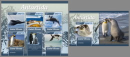 GUINEA BISSAU 2019 MNH Antarctica Animals Antarktis Tiere Animaux Antarctiques M/S+S/S - IMPERFORATED - DH1920 - Faune Antarctique