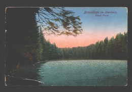 Braunlage Im Oberharz - Neuer Teich - 1924 - Braunlage