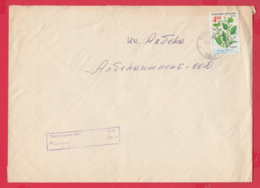 242987 / Cover 1996 - 4 Lv. Spinach Plants , DOBRICH - ALBENA , Bulgaria Bulgarie - Lettres & Documents