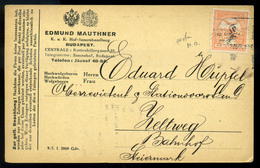 BUDAPEST Mauthner Céges Levlap , Céglyukasztásos Bélyeggel - Used Stamps