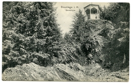 ALLEMAGNE : BRAUNLAGE IM HARZ - STEINKLIPPE - Braunlage