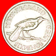 + DRESSED QUEEN (1955-1965): NEW ZEALAND ★ 6 PENCE 1959! LOW START ★ NO RESERVE! - Nieuw-Zeeland