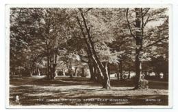 CPSM THE FOREST AT RUFUS STONE NEAR MINSTEAD, Format 9 Cm Sur 14 Cm Environ, ANGLETERRE - Altri & Non Classificati