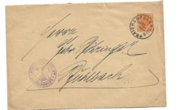 Wtb222/ Württemberg -  BAIERSBRONN,   Dienstpost 1917 - Lettres & Documents