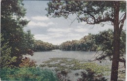 POSTCARD UNITED STATES - NEW YORK -  BRONX - VIEW ON BRONX LAKE - ZOOLOGICAL PARK - Bronx