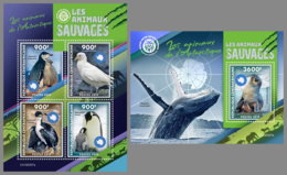 CENTRAL AFRICA 2019 MNH Antarctic Animals Tiere Der Antarktis Animaux De Antarctique M/S+S/S - OFFICIAL ISSUE - DH1922 - Faune Antarctique