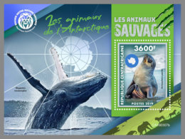 CENTRAL AFRICA 2019 MNH Antarctic Animals Tiere Der Antarktis Animaux De Antarctique S/S - IMPERFORATED - DH1922 - Faune Antarctique