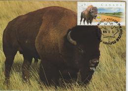 Canada Carte Maximum 1999 Bison 1644 - Cartes-maximum (CM)