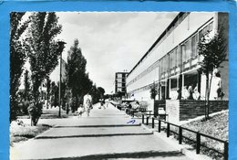 VILLE NEUVE LA GARENNE--vue Des écoles De La Cité-animée  édition Belonie - Villeneuve La Garenne