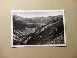 Blick Vom Süsom Gyvè - Ofenbergpass  I. Münstertal Tschierf Lü  U.Ortler   (5727) Grass Zernez - Zernez