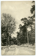 THE APPROACH TO GRANTOWN ON SPEY IN WINTER - Moray