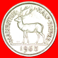 + STAG: MAURITIUS ★ 1/2 RUPEE 1965 KEY DATE! LOW START ★ NO RESERVE! - Maurice