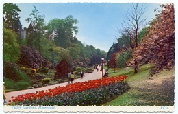 HARROGATE : VALLEY GARDENS - Harrogate