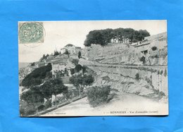 BONNIEUX Vue D'ensemble-levant -a Voyagé En 1904 édition Brun - Bonnieux