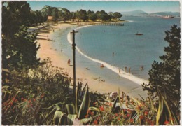 Australia TASMANIA Sandy Bay Beach HOBART Engelander Kruger 798/4 Postcard C1960s - Hobart