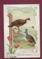 250619A - CHROMO CHOCOLAT AIGUEBELLE - Le Monde Des Oiseaux : Lophotyx , Cathéture De Latham - Aiguebelle
