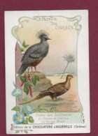 250619A - CHROMO CHOCOLAT AIGUEBELLE - Le Monde Des Oiseaux : Goura De Victoria , Ganga Chata - Aiguebelle