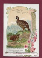 250619A - CHROMO CHOCOLAT AIGUEBELLE - Le Monde Des Oiseaux : Gélinotte Des Bois , Caille Commune - Aiguebelle