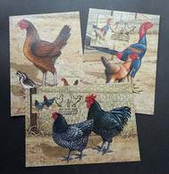 Australia Poultry Breeds 2013 Rooster Chicken Farm Animal (maxicard) - Lettres & Documents