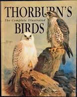 Archibald Thorburn's - BIRDS - The Complete Illustrated - Wordsworth Editions - ( 1997 ) . - Vida Salvaje