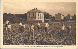 CPA Montesson Ecole Théophile Roussel Le Potager Sud - Montesson