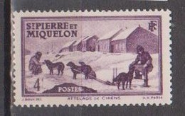 SAINT PIERRE ET MIQUELON     N° YVERT   :   169  NEUF SANS  CHARNIERES     ( NSCH 1/32 ) - Unused Stamps