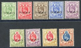 1903-04 CCA Set Ovpt SPECIMEN, Fresh M, SG.139s/147s. (9) Cat. £275 - Autres & Non Classés