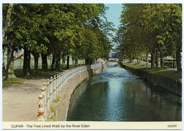 CUPAR : THE TREE LINED WALK BY THE RIVER EDEN (10 X 15cms Approx.) - Fife