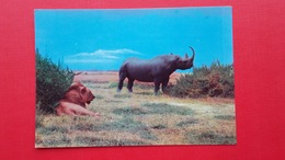 EAST AFRICAN WILD LIFE.RHINO AND LION - Rhinoceros