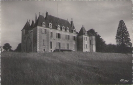 CPSM 80 Vienne - DANGE - Château De Piollant - Dange Saint Romain