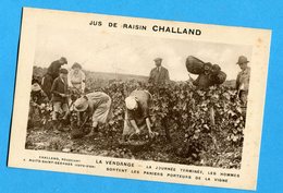 21 - Nuits Saint Georges - Jus De Raisin CHALLAND - La Vendange - La Journee Terminee, Les Hommes Sortent Les .. (0089) - Nuits Saint Georges