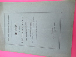 Botanique/sopraintendente Dell' Istituto Sulla Sistemazione Delle Collezioni Botaniche/Teodor CARUEL/Firenze/1881 MDP118 - Livres Anciens