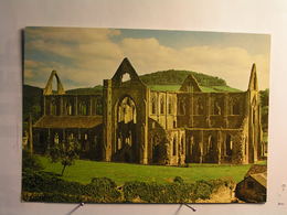 Monmouthshire - Tintern Abbey - Monmouthshire