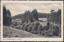 D-37586 Dassel - Erste Sperrbergbrücke Im Solling - Northeim