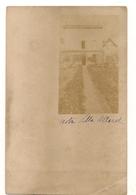 Carqueiranne -  Villa Allard -  Les Sablettes -  Mulhausen - Cachet - Carte Photo   - CPA° - Carqueiranne