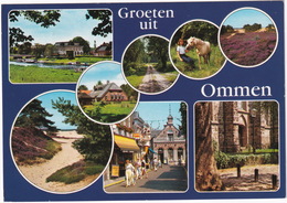 Groeten Uit Ommen - Paard, Boekhandel/Koffiehuis, Winkelstraat, Kerk - (Overijssel) - Ommen