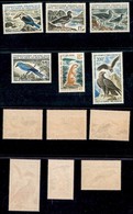 TERRITOIRE FRANCAIS DES AFARS ET DES ISSAS - 1967 - Uccelli (1/6) - Serie Completa - Gomma Integra - Leggera Abrasione A - Other & Unclassified